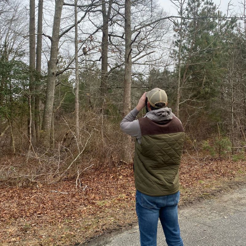 Jared birding with binoculars beside a wooded road